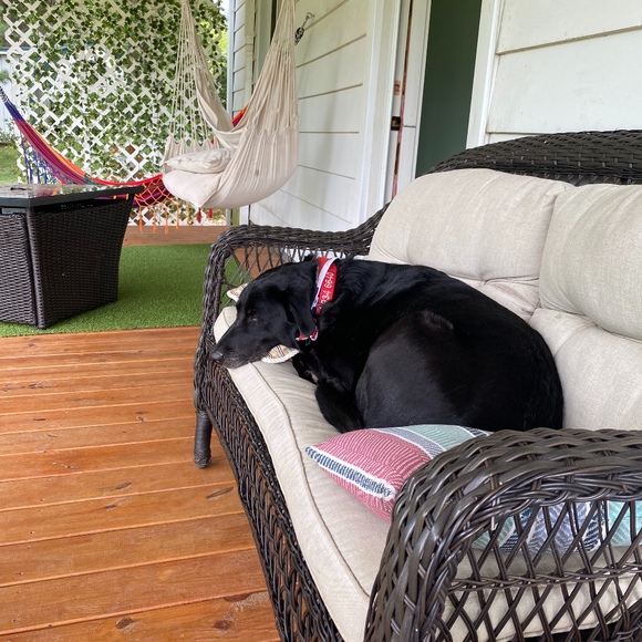 Meet your Posher, Liz - Picture 1 of 1